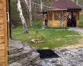Forest Trail: отзыв от Ясения У