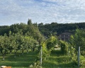 Deer farm: отзыв от Anna Stone