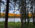 Шелест Inn: отзыв от Дарья Х
