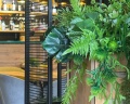 Central Hotel: отзыв от Яна С.