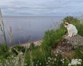 Lake park: отзыв от Юлия Свирид
