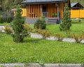 Veresk Altai: отзыв от Юлия Новикова