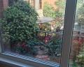 Guest house city center: отзыв от Kora L