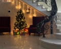 Villa Aila: отзыв от Вера Федорова