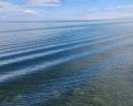 Аршан: отзыв от Светлана
