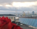 Gray Hotel: отзыв от 📌 Хабаровчанка