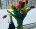Loft №12: отзыв от Ирина Лазутина