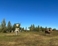 Na Ferme: отзыв от Xeniya