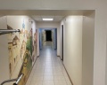 Sweet Sleep Hostel&Hotel: отзыв от Бахтиер Рахмонов