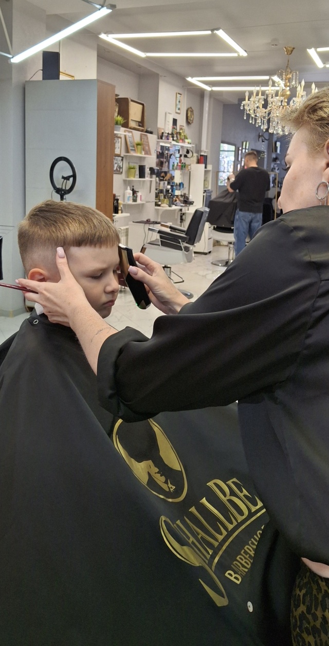 Сексуалды қыздардың жұмыс үстелінің тұсқағазы Серебро тобының суреті