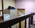 Вежливый лось: отзыв от Э. Смойлов