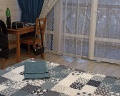 Подкова: отзыв от Мария Кулакова