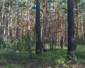 Горенки: отзыв от Лена Капустина