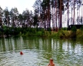 Хвойный берег: отзыв от Алена Конюхова