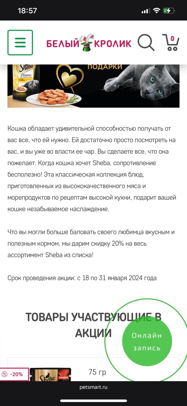 Белый кролик, зоомаркет, проспект Острякова, 13, Владивосток — 2ГИС