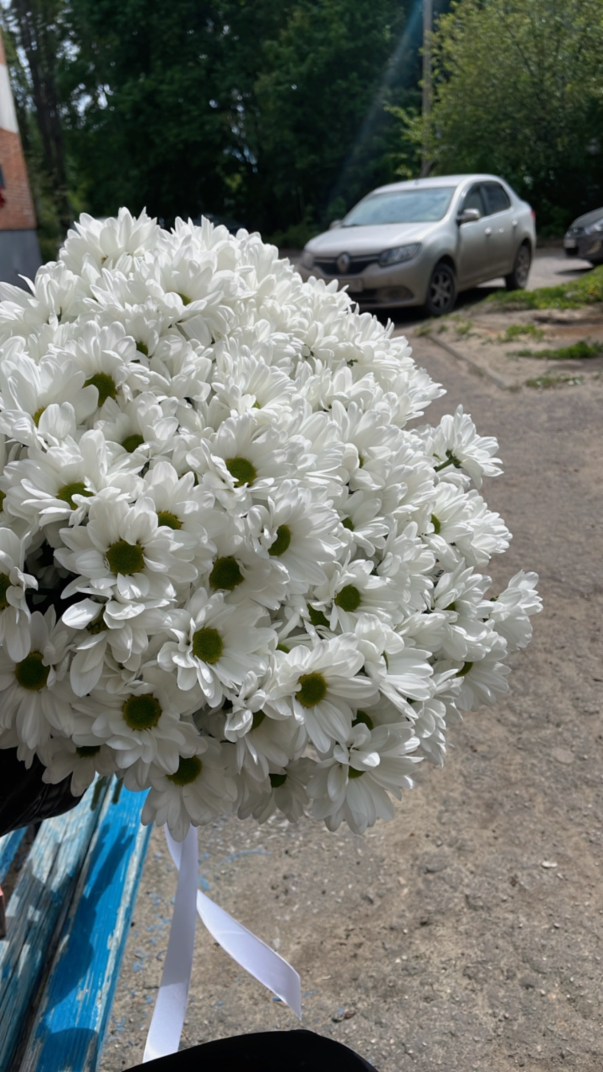 FlowerBox, Экоквартал Запрудный, Ладожская, 110, Пенза — 2ГИС