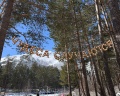 Квартирукинг: отзыв от Юлия Быкова
