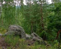 Alpen Camp: отзыв от Наталья Пончикова