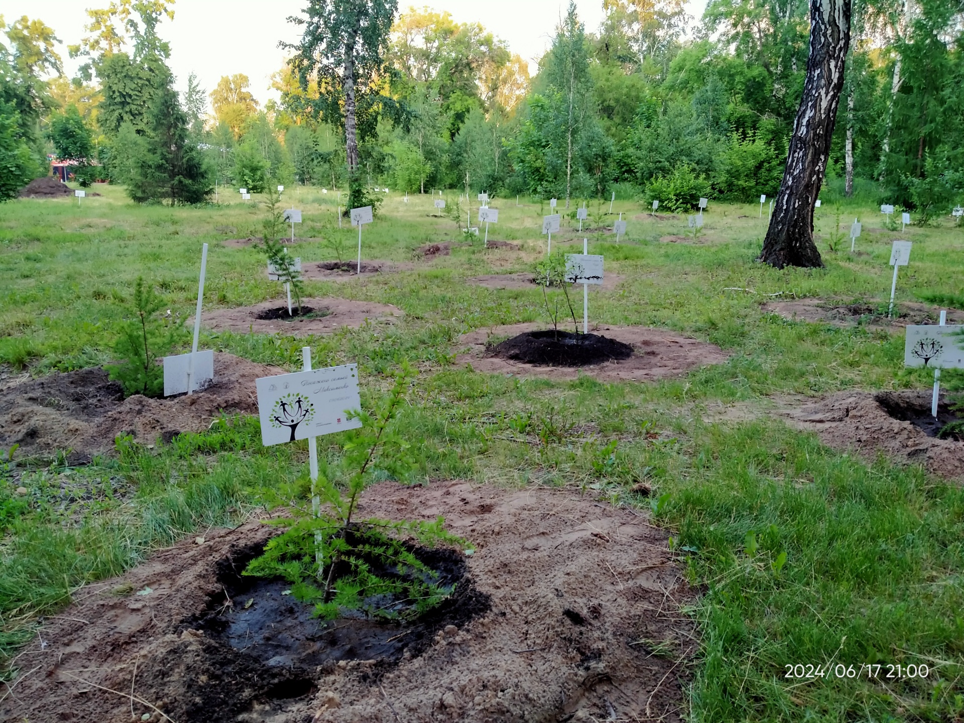 Парк культуры и отдыха им. 30-летия ВЛКСМ, улица Масленникова, 136, Омск —  2ГИС