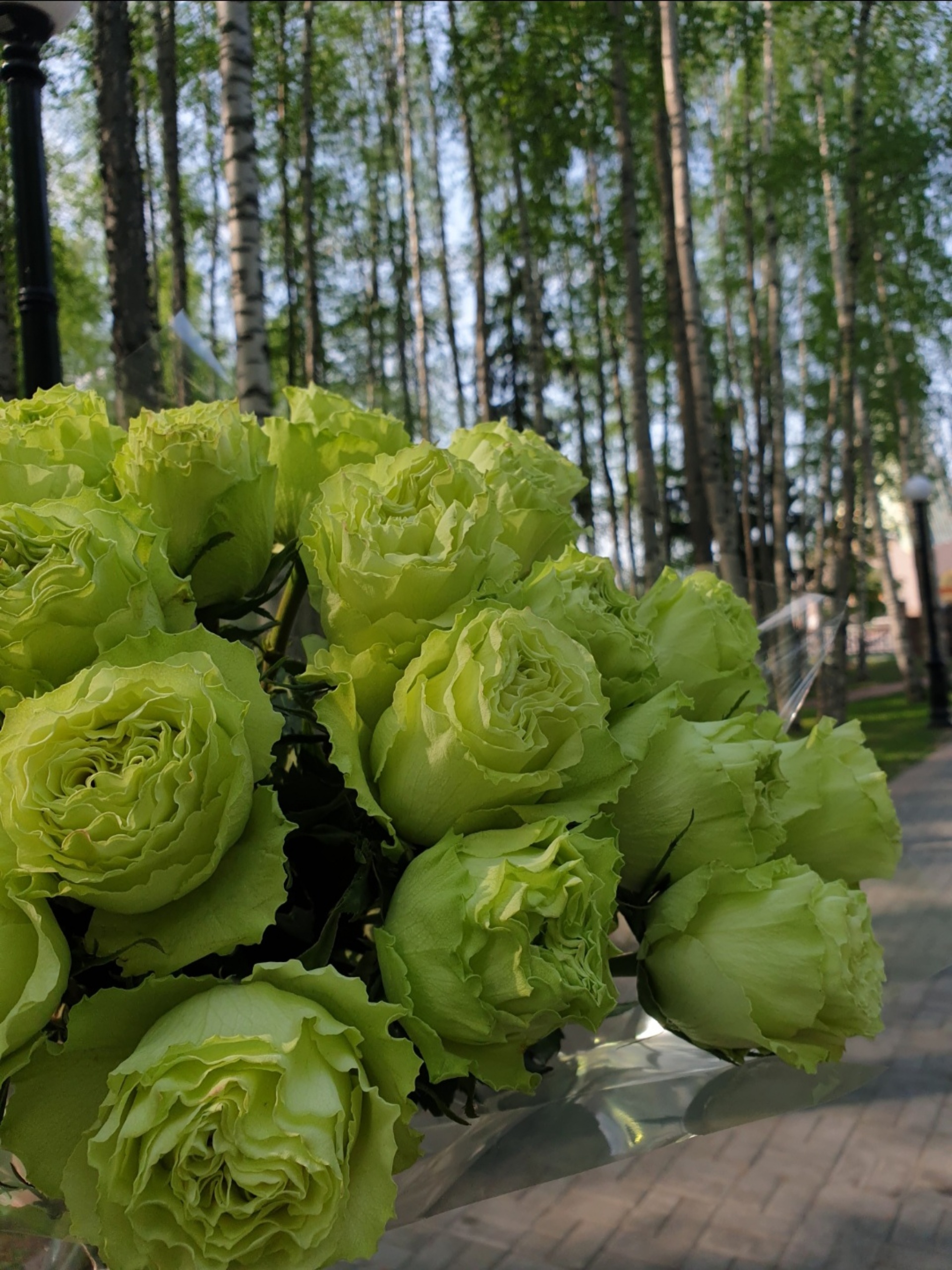 Прованс-ОПТ, цветочный дом, Лопарева, 12/1, Ханты-Мансийск — 2ГИС