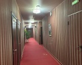 Абрикос: отзыв от Камилла Курочкина