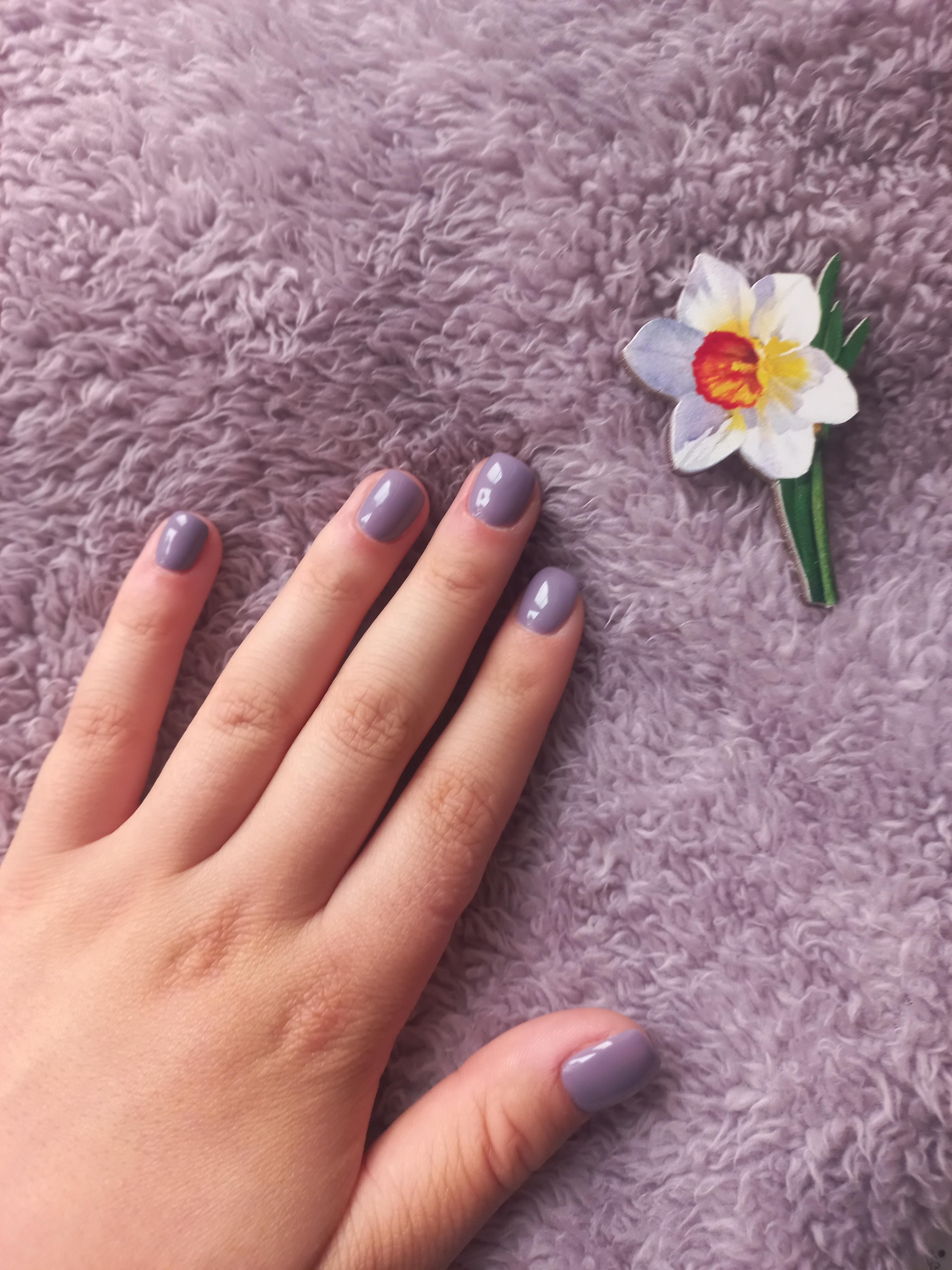 Art Nail, студия, Ровио, 21, Петрозаводск — 2ГИС