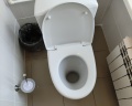 Елань: отзыв от Владимир Соловьев