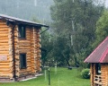 Кедровый берег: отзыв от Екатерина Панчина