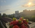 Garden Hills by Provence: отзыв от Ксения В