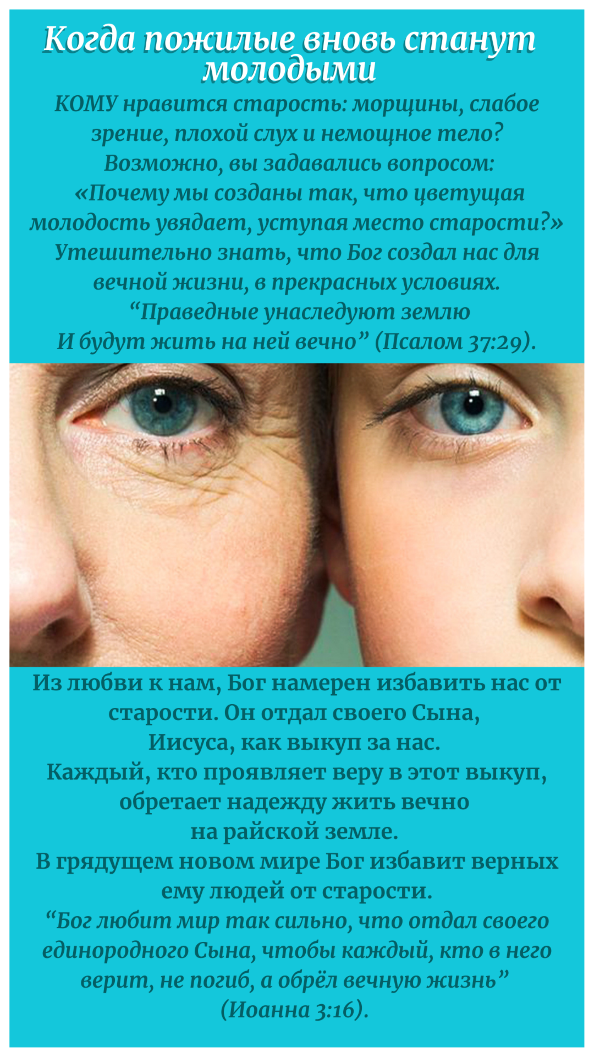 Рязанский геронтологический центр им. П.А. Мальшина, улица Новаторов, 27Б,  Рязань — 2ГИС