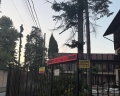Агава: отзыв от Екатерина Скрипникова