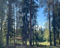 Тихий Лес: отзыв от Elya D