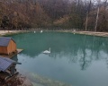Енот: отзыв от Zoya Sochi