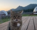 Altay Nebo: отзыв от Apple User