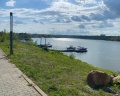 Заречье: отзыв от Шмель Лесной