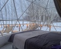 Holidays Forest: отзыв от Городской житель
