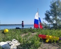 BorWood: отзыв от Ольга Шевцова