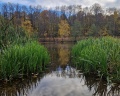 Парк «Кузьминки-Люблино»: отзыв от Елена Березина