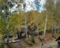 Уткуль РФ: отзыв от Александр Четвергов