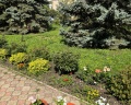 Favorit: отзыв от Мария Власова