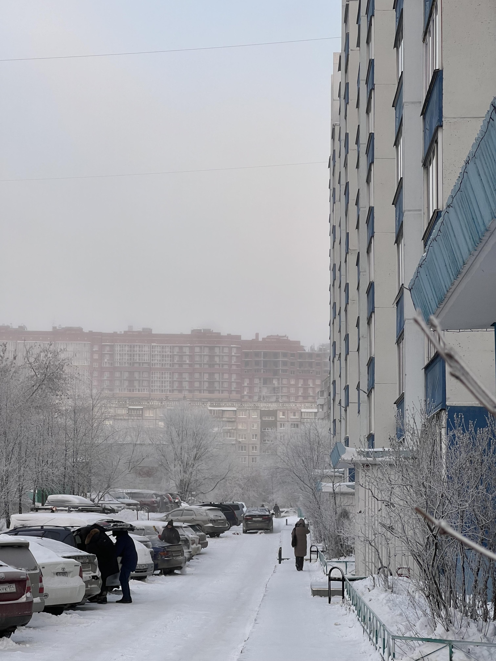 Северное сияние, жилой комплекс, Ельцовская, 39 в Новосибирске — 2ГИС