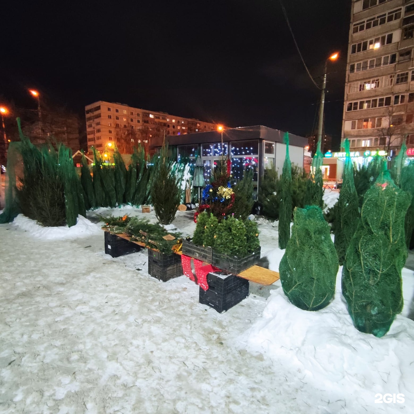 Жень-ш-Энь, компания по продаже саженцев, цветов и живых елок, улица  Адоратского, 21а/1, Казань — 2ГИС