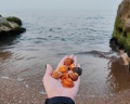 Сафия: отзыв от Алена Сергеевна