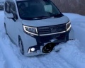 Ромашка: отзыв от Варечка Круч