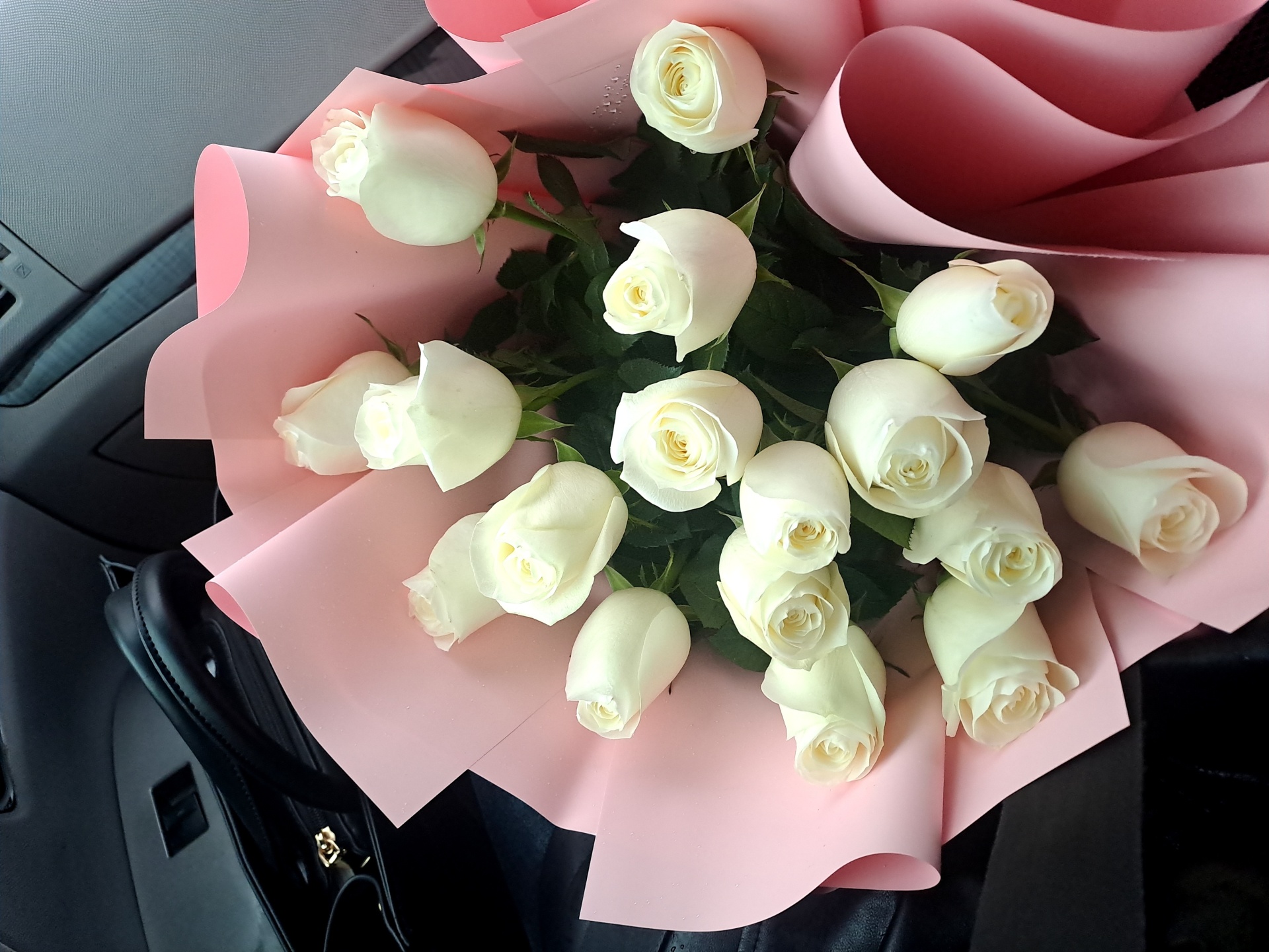 Жаңбыр дәрежесі порно