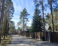 Царство-Королевство: отзыв от Александра Блинова