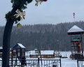Усадьба у Альберта: отзыв от Илира ilira