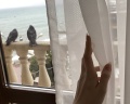 Dolphin Resort by Stellar: отзыв от Анастасия Егорова