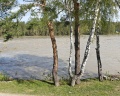 На Шумах: отзыв от Городской житель