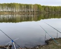Бобры и утки: отзыв от Айнур Хажеев